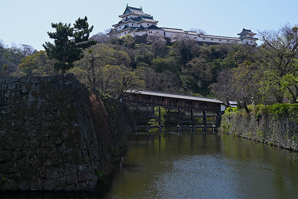 北側の堀端から望む和歌山城の御橋廊下と天守