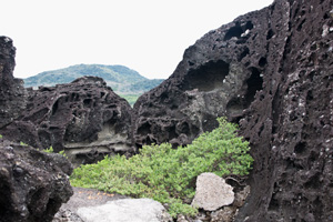 ゴツゴツとした火山岩が露出した墾丁の海岸