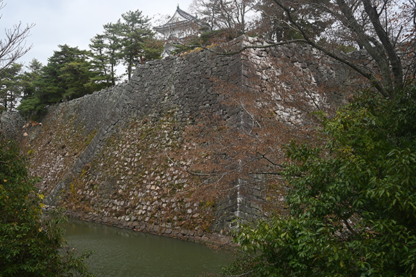 伊賀上野城の高石垣と天守
