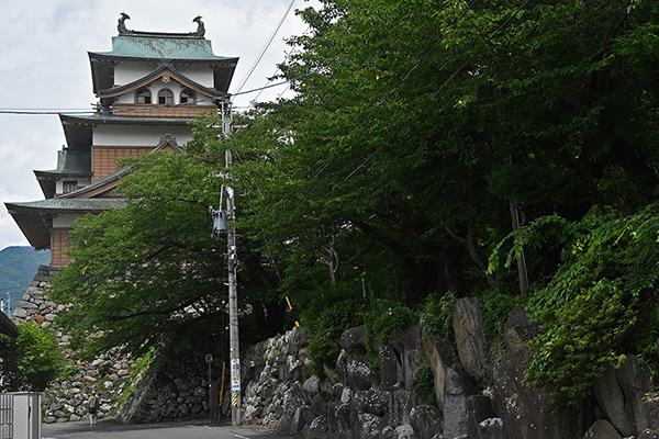 城外から望む高島城天守南面