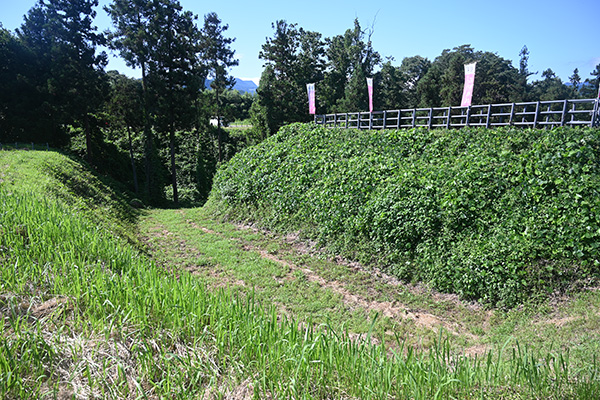 名胡桃城 二の郭堀切