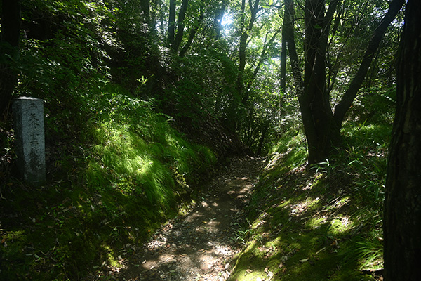 金山城 西矢倉台西堀切