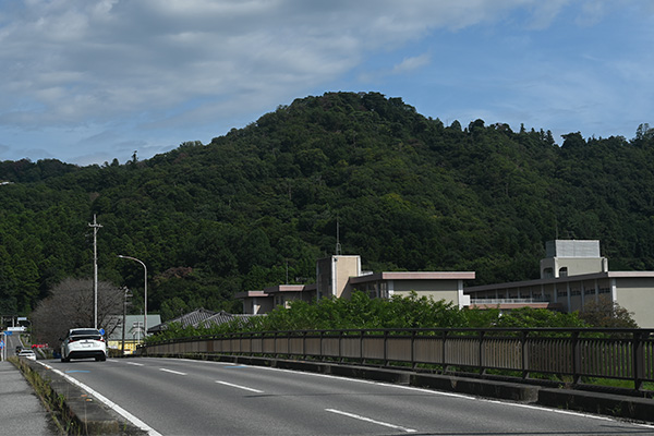 唐沢山城を頂く唐沢山