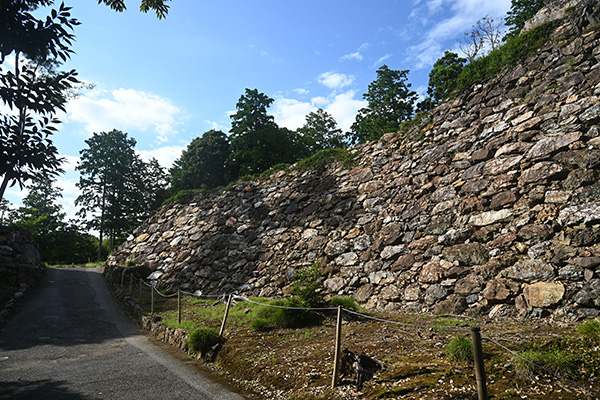 唐沢山城 高石垣