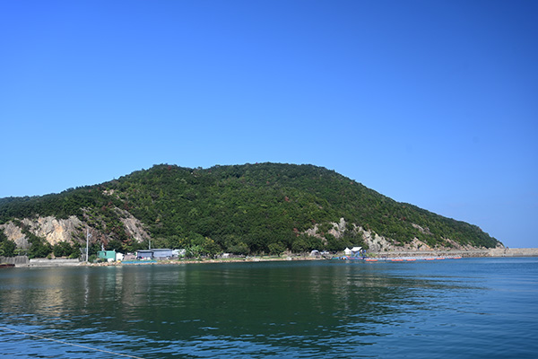 引田港から望む引田城全景