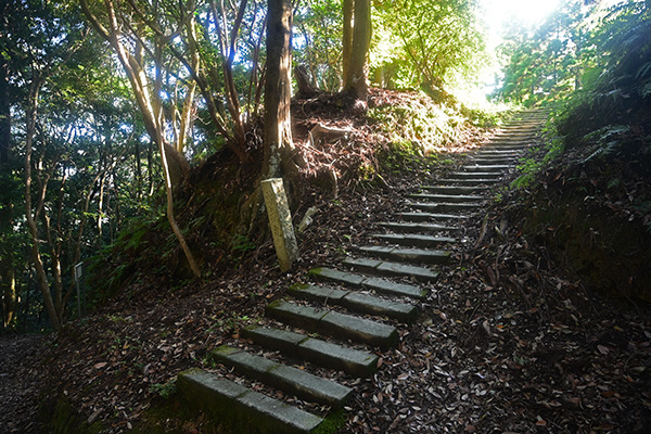 一宮城 才蔵丸虎口