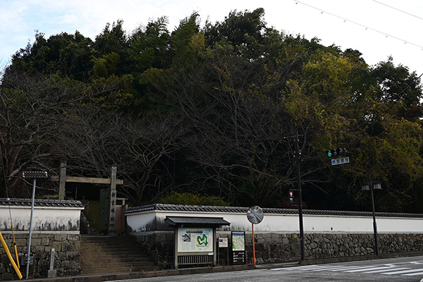 新宮城の城山