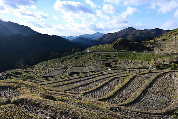 丸山千枚田