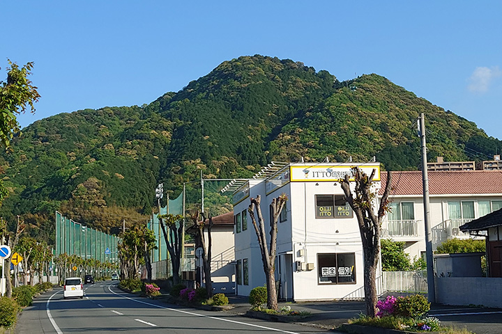 写真
