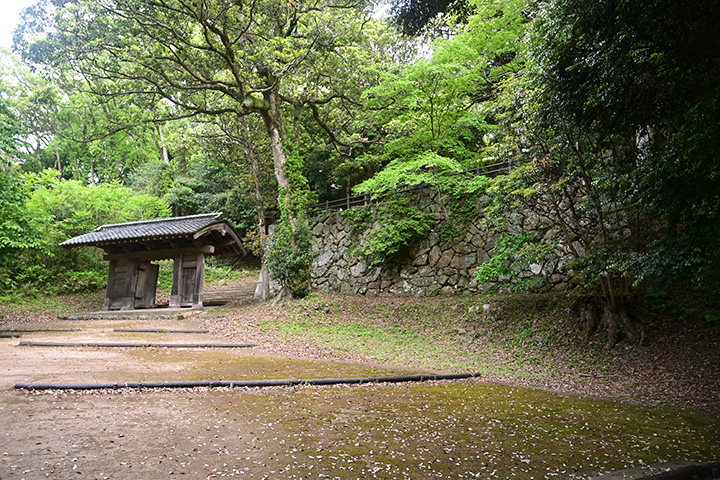 写真
