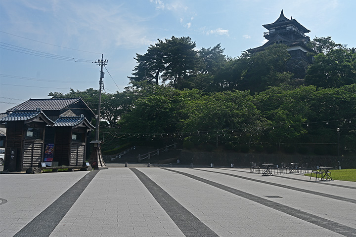 写真