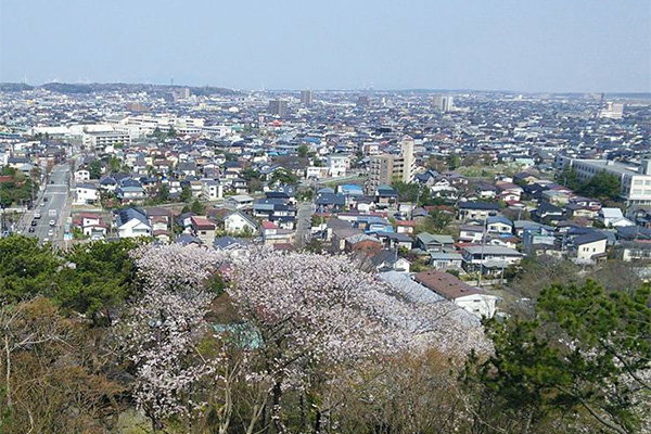千秋公園桜祭り